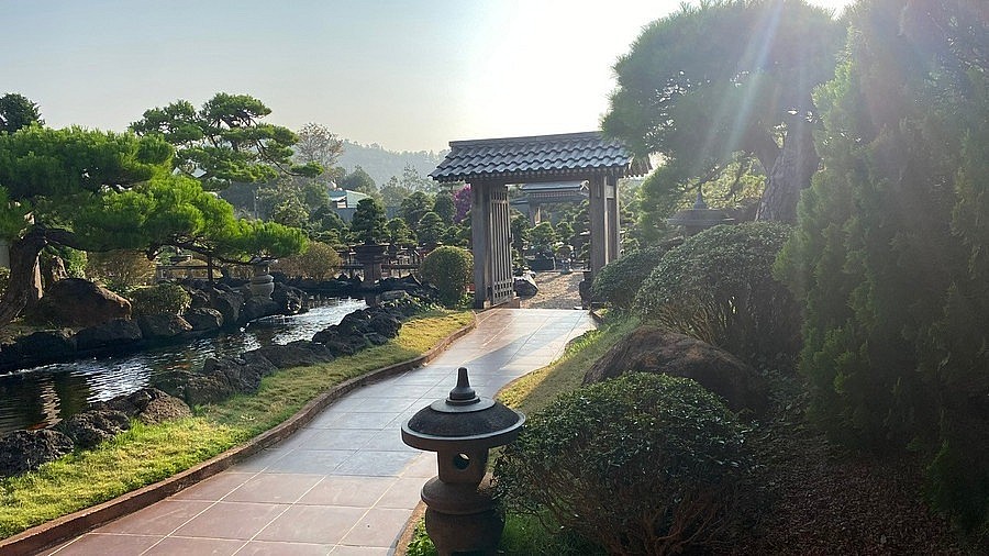 “打卡”风景如画的波来古市日式针叶类盆景园
