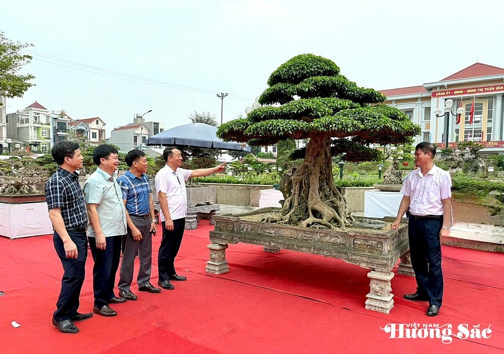 超过1000件作品参加了2025年扩大的Van Giang区景观生物展览