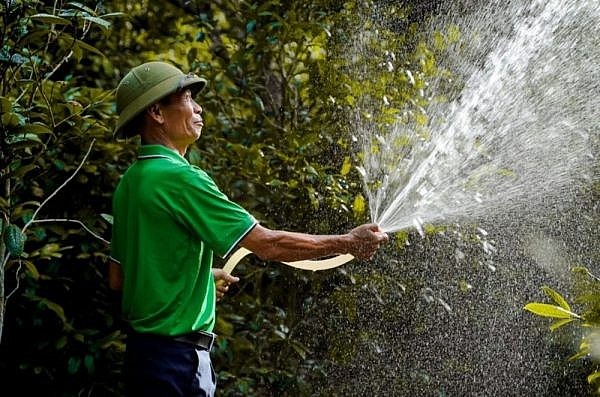 Hợp tác xã Trường Sơn: Số hóa bảo tồn, phát triển thương hiệu trà hoa vàng