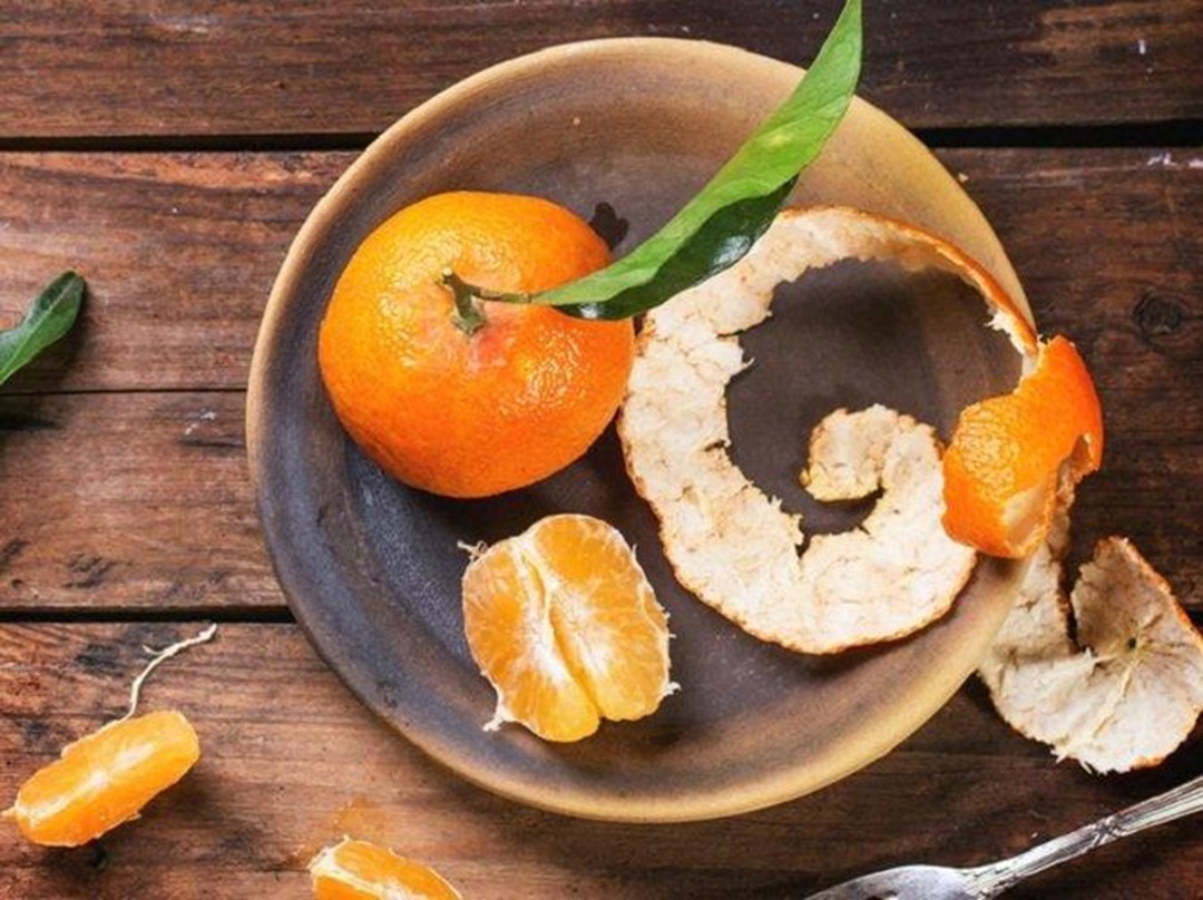 Không chỉ giúp hỗn hợp ủ có mùi dễ chịu, vỏ cam – quýt – bưởi còn chứa tinh dầu tự nhiên có tính kháng khuẩn và xua đuổi côn trùng gây hại.