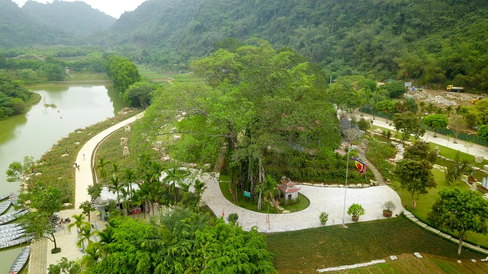 Cây đa &quot;di chuyển&quot; nghìn năm ở Ninh Bình, mỗi bước đi dài cả thế kỷ