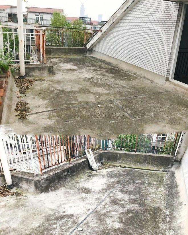Biến hóa sân thượng 33m² thành khu vườn đẹp như tranh vẽ giữa lòng thành phố