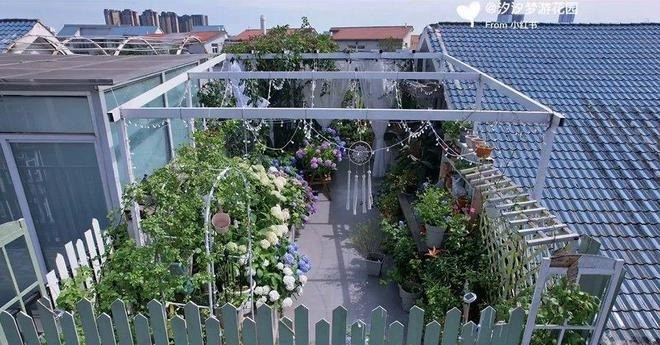 Biến hóa sân thượng 33m² thành khu vườn đẹp như tranh vẽ giữa lòng thành phố